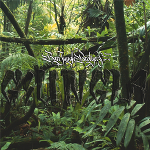 Sugli ulivi e sul grano