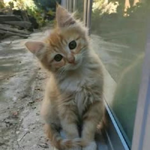 Why We Thugs (slowed)