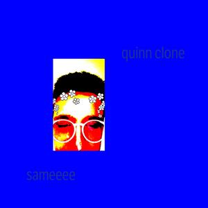 quinn clone