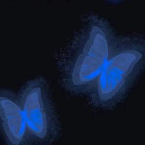 崩坏 (Prod by Realism）