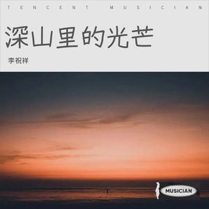 张桂梅的灵魂圣辉