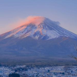 任我行（Cover）