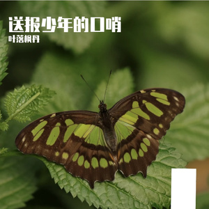 露珠里的完整世界