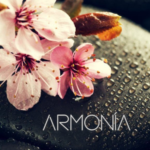 Armonía