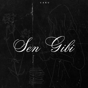 Sen Gibi