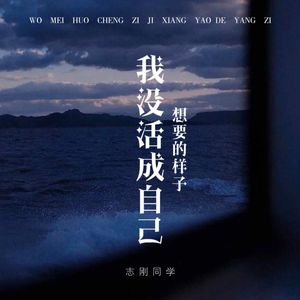 我没活成自己想要的样子