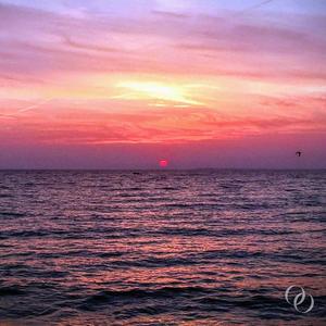 BoH (feat. JET, CARBS, Lily Sportell & Room Noise)