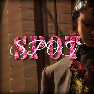 Spot