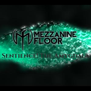 Sentience! The Amygdala