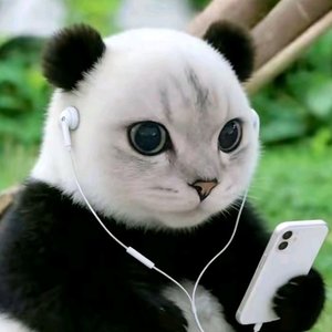 忆成灾