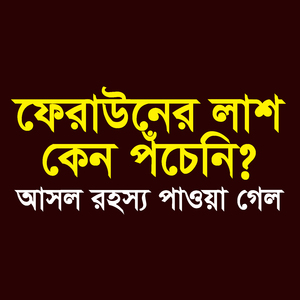ফেরাউনের লাশ কেন পঁচেনি ? আসল রহস্য পাওয়া গেল