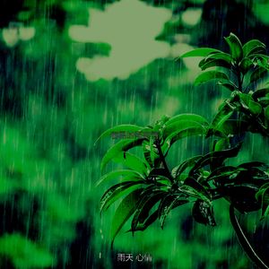 抚慰的风暴回忆