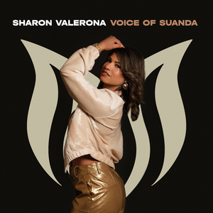 Live Without You (Extended Mix)