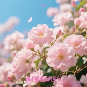 我不放弃爱的勇气 (tyy Remix)