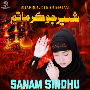 Shabbir Jo Kar Matam