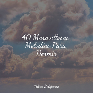 Renacimiento Del Océano