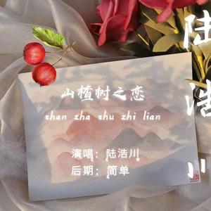 山楂树の恋（温柔男版）