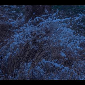 你可以不用活得那么累