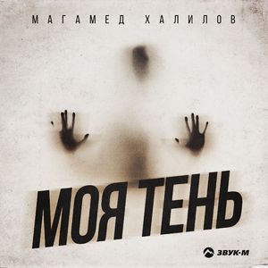 Моя тень
