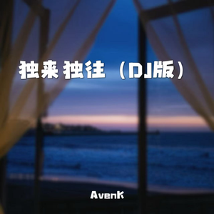 独来独往（DJ版）