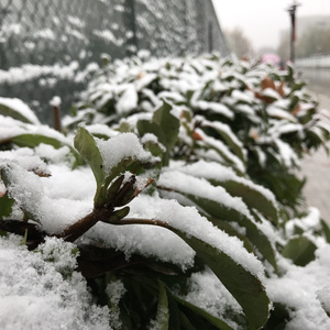 对不起不是我（Cover 孙伯纶）