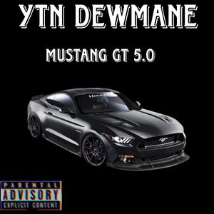 Mustang GT 5.0