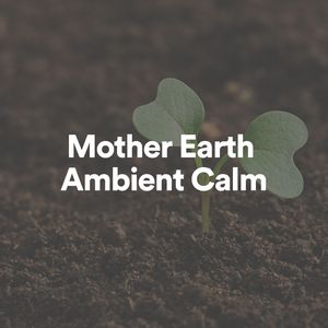 Mother Earth Ambient Calm, Pt. 2