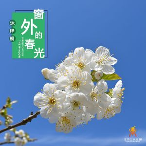 窗外的春光 -沐梓桐