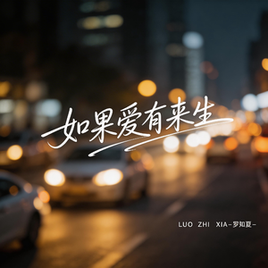 如果爱有来生（抒情版）