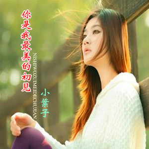 你是我最美的初见(小叶子)