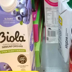 Når Fuglene Synger En Morgenduett