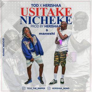Ustake Nicheke