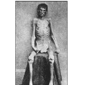 As a Dying and Never Repeated Echo