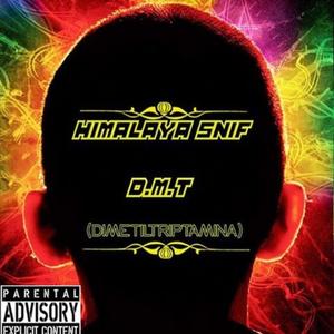 CERVEZA ASAO AL VIDRIO