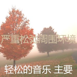 抚慰的松弛回忆