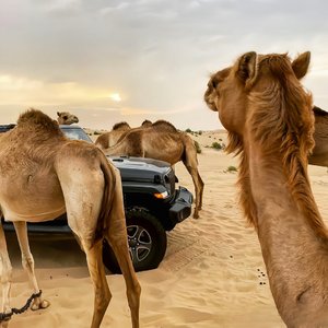 Don't Touch（3D 环绕版）（Salao remix）