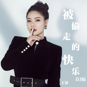 被偷走的快乐 (DJ版)