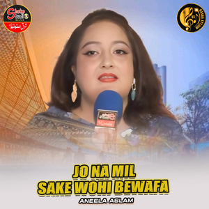 Jo Na Mil Sake Wohi Bewafa (1)