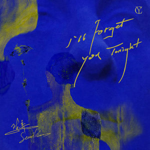 I'll Forget You Tonight