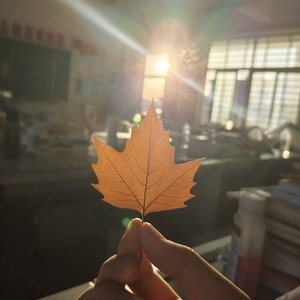 晚自习放学