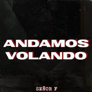 Andamos Volando