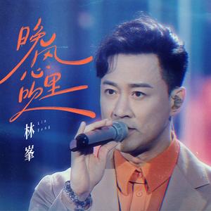 晚风心里吹 (Live)