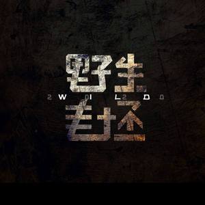 现代文明和现代人