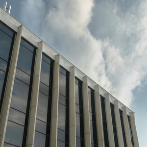 Той, хто біжить по лезу