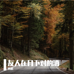 友人在月下对酌酒
