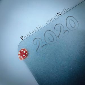 Fantastic cocciNella-奇迹的瓢虫