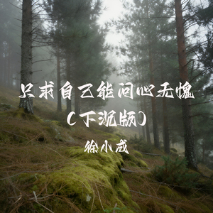 只求自己能问心无愧（下沉版）