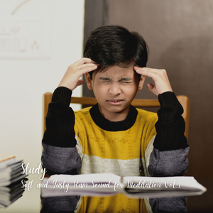 Along the Soggy Streets