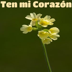 Las tropas