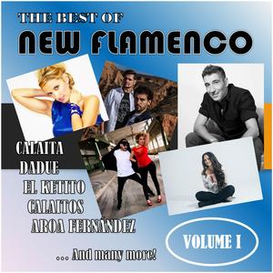 Puñaitos de Flamenco y Son